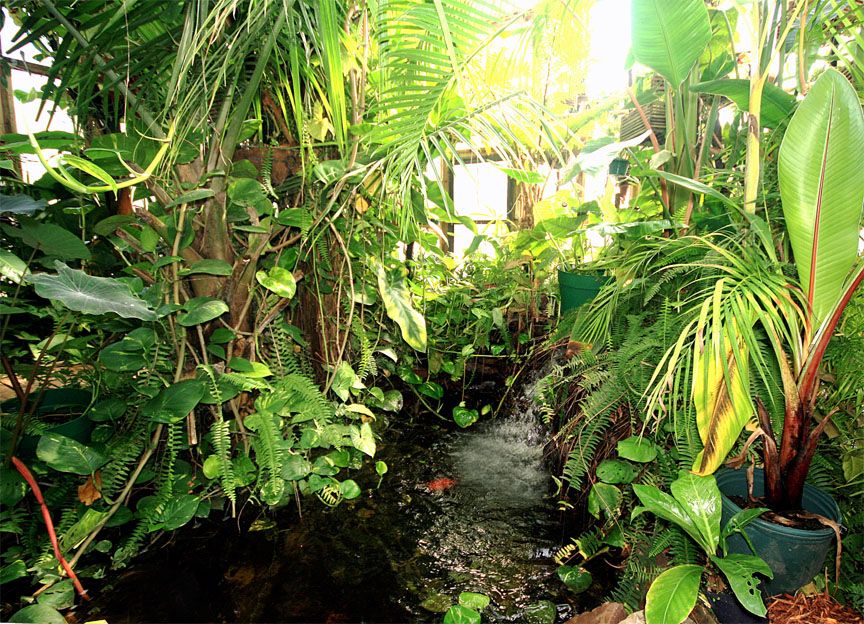 Exotic Rainforest waterfall and pond as seen from the park bench, Photo Copyright 2009, Steve Lucas, www.ExoticRainforest.com