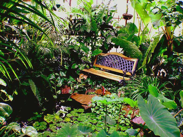 Pond bench in the Exotic Rainforest atrium, Siloam Springs, AR 72761, www.ExoticRainforest.com