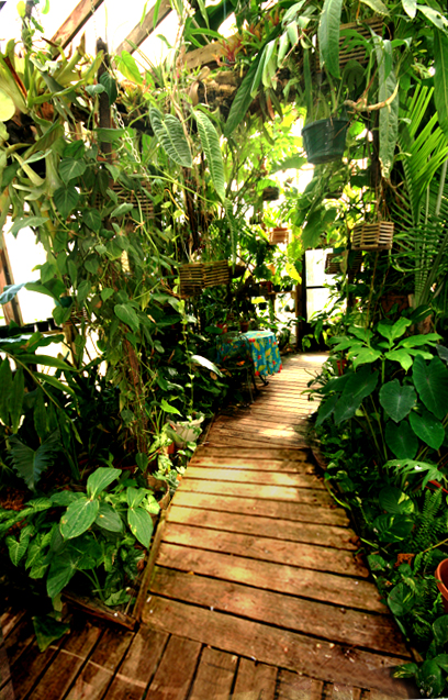 Main entrance to the Exotic Rainforest, Photo Copyright 2009, Steve Lucas, www.ExoticRainforest.com